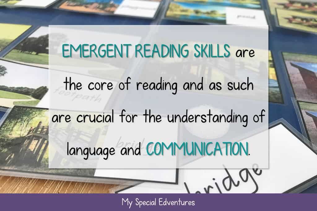 A vocabulary activity related to The Park emergent reading book, with the quote 'emergent reading skills are the core of reading and as such are crucial for the understanding of language and communication'. 