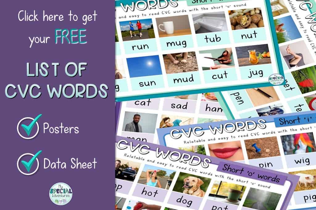Colourful CVC Word List posters for teaching cvc words